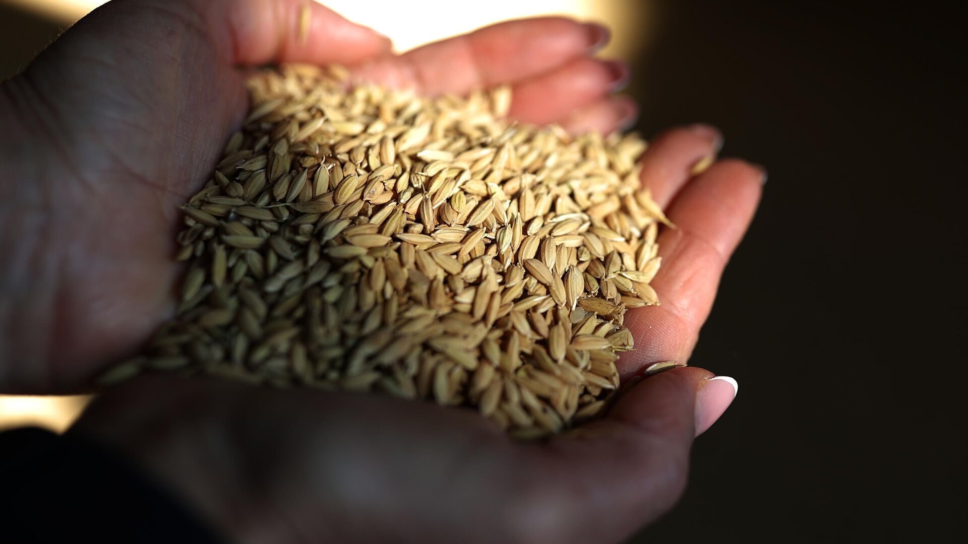 Продление временного запрета на ввоз риса в Россию
