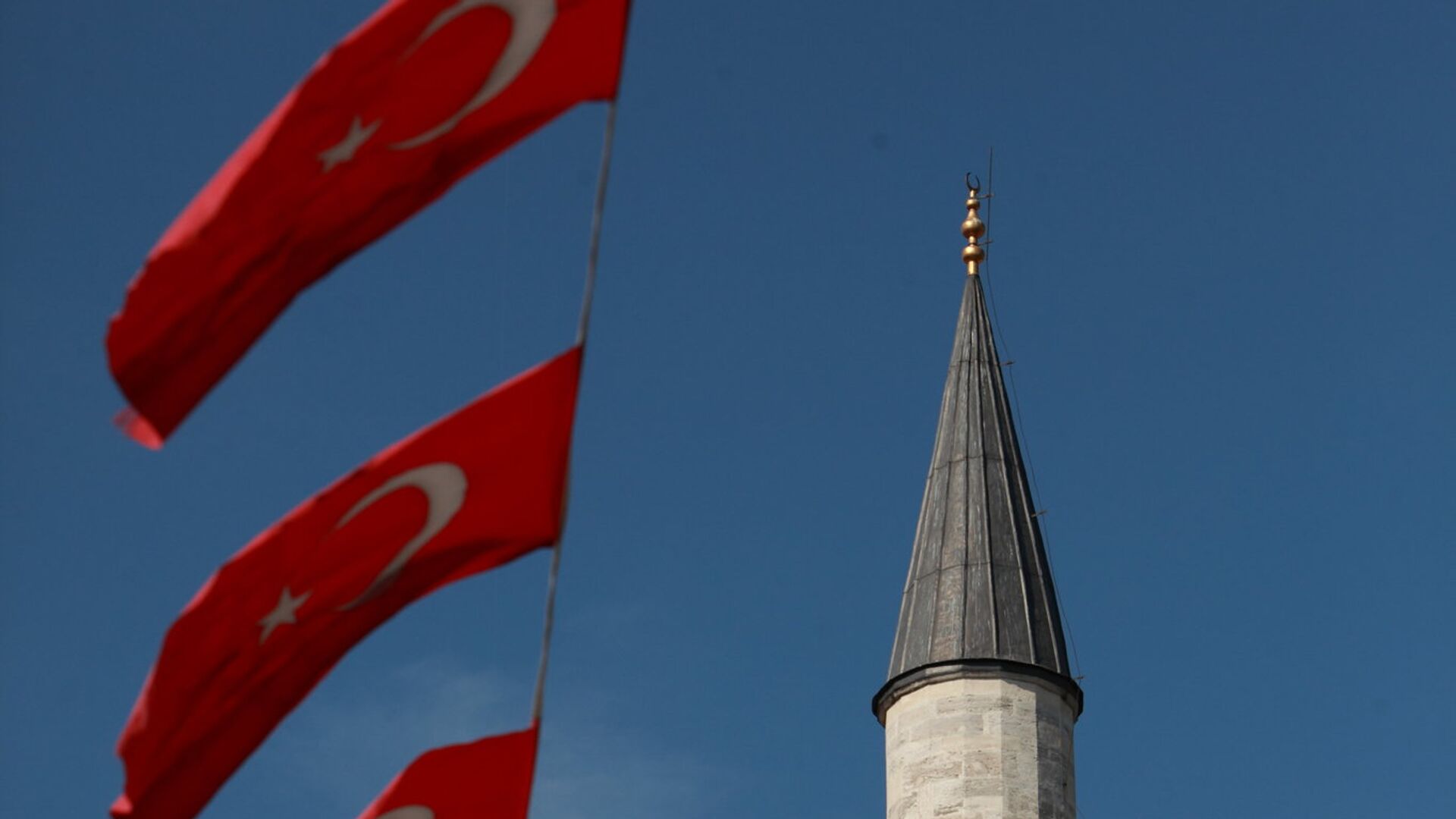 Турция намерена обсудить вопросы газа, АЭС и Сирии во время визита Путина