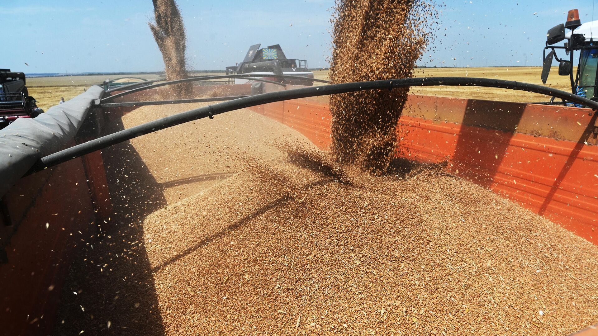 Пакистан впервые приобрел российское зерно за дирхамы ОАЭ в ноябре