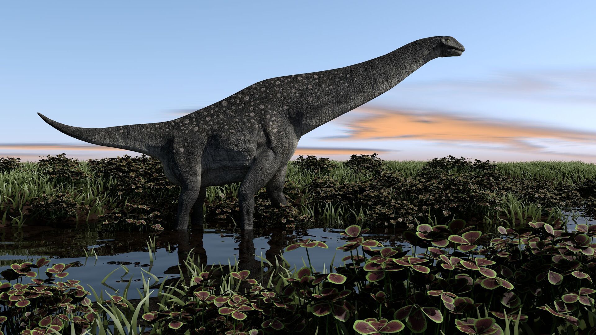 Какой 1 динозавр. Титанозавр зауропод. Патаготитан и Диплодок. Титанозавры титанозавры. Алора Титан динозавр.